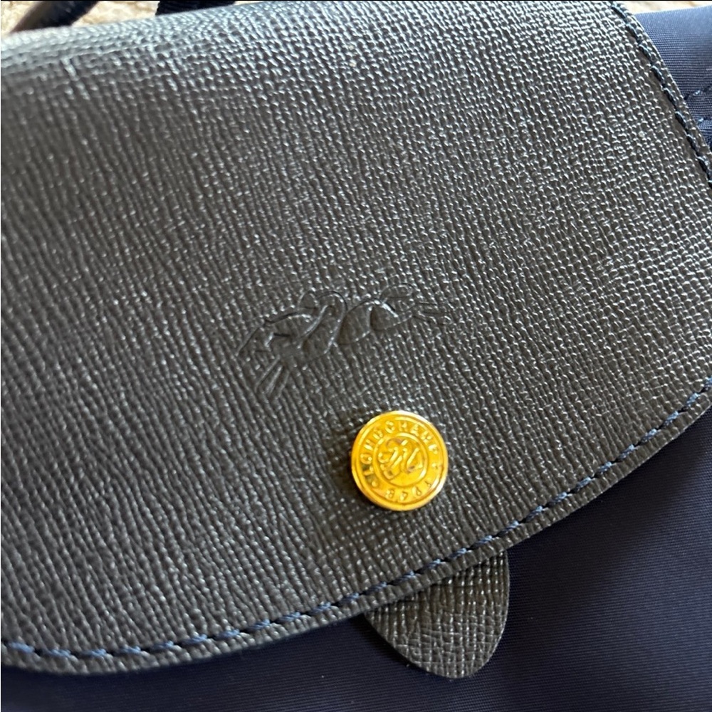 Longchamp Backpack - Picture 2 of 12